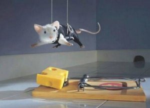 mousetrap