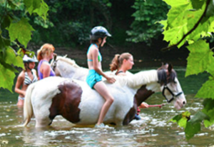 Supposedly my child will be riding a horse through a river this week. What?!?