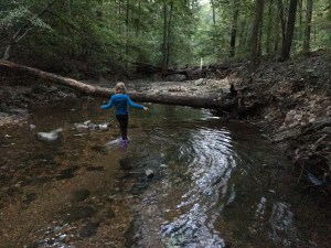 In the creek