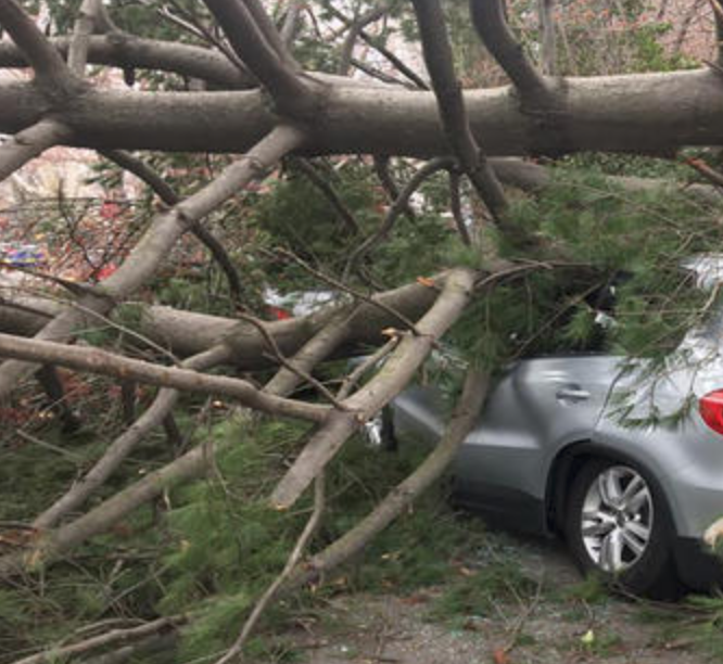 Screen Shot 2018-03-10 at 10.53.41 PM